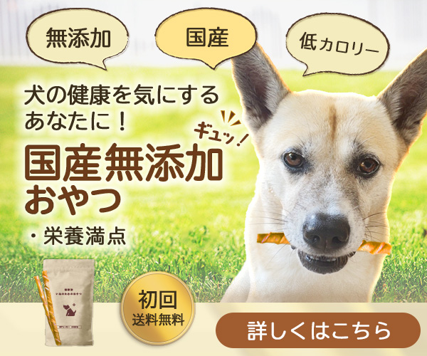 犬のバナー画像