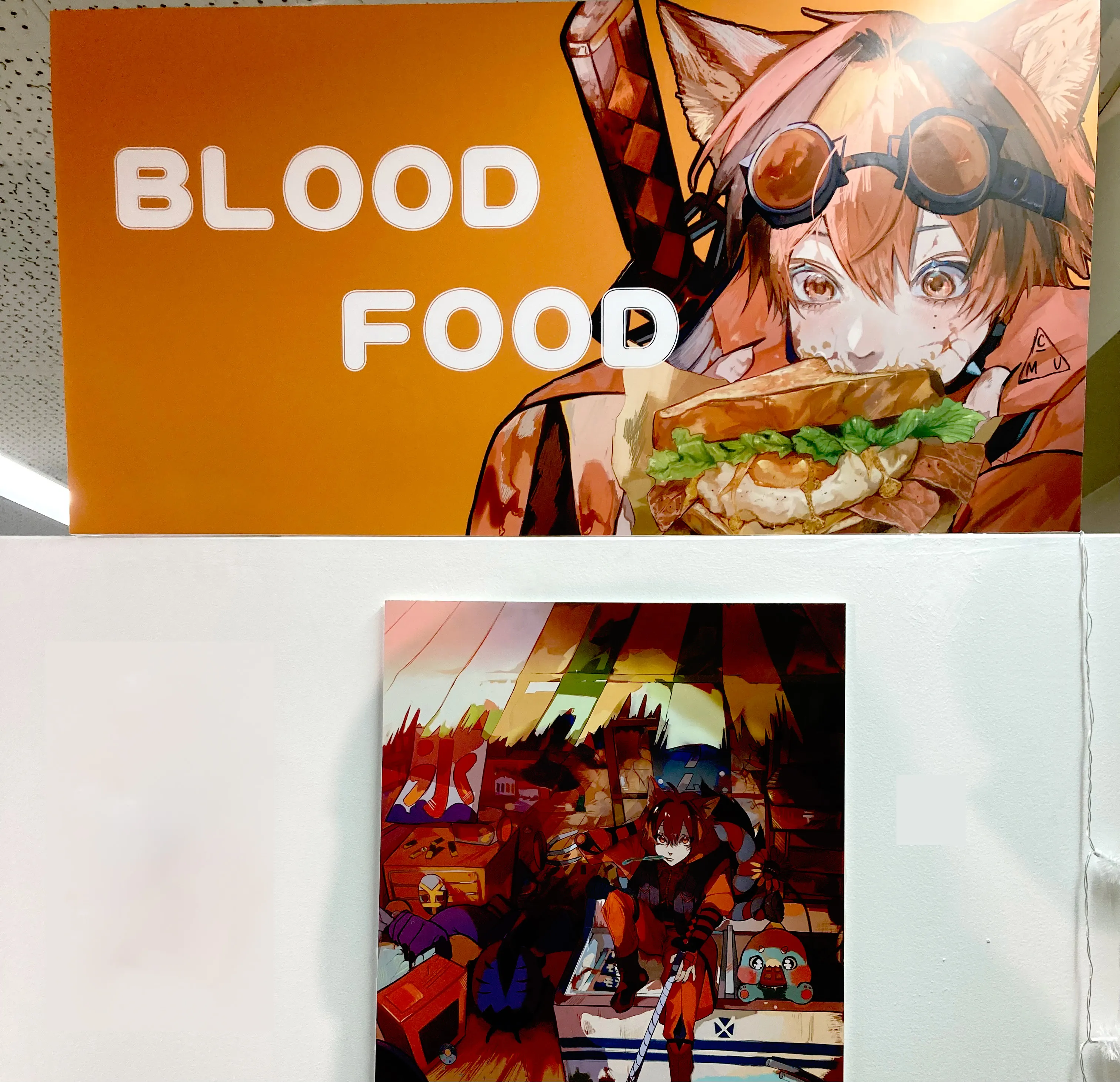 展示の様子の写真